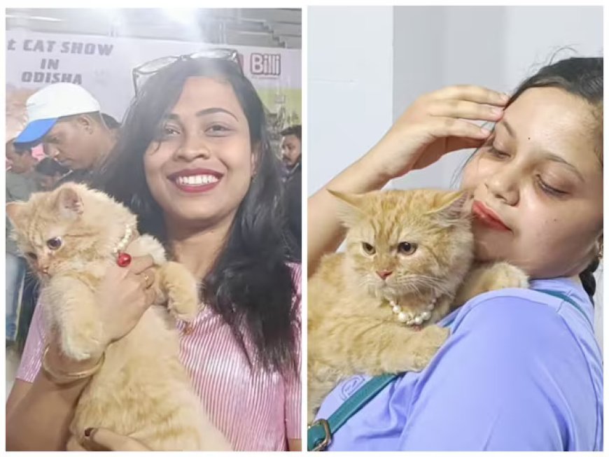 Behrampur’s First Feline Show Spotlights Zimba Cat Valued at Rs 1.5 Lakh